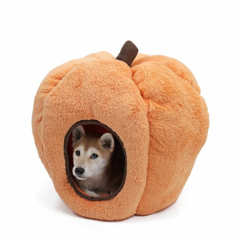 Pumpkin Pet Bed🐱🐈 🐶🐕 Featured Host Pick!!! 🐶🐕🐈🐱